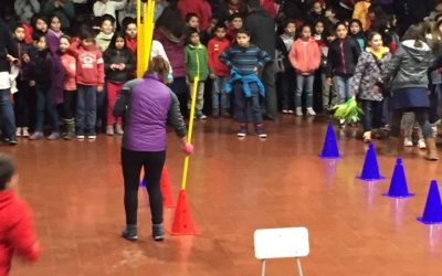 Celebración cierre de semestre